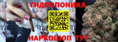сатива Апшеронск
