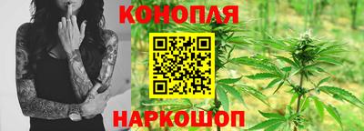 сатива Апшеронск