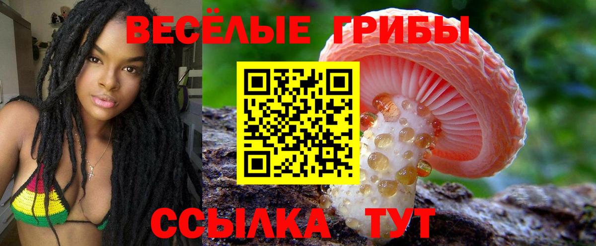 Берёзовский  где продают   Вход с VPN  Псилоцибиновые грибы ЛСД 